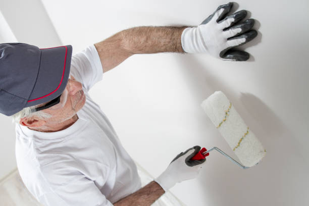 Best Mold Odor Removal Services  in North Valley Stream, NY