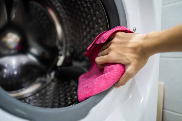 Best HVAC Mold Inspection and Cleaning  in North Valley Stream, NY