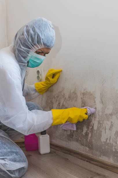 Best Residential Mold Inspection & Testing  in North Valley Stream, NY