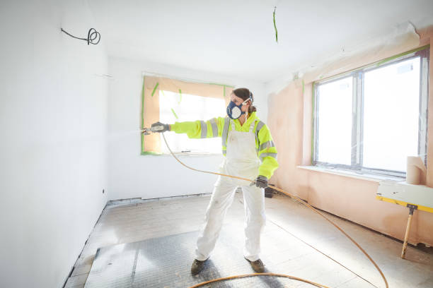 Best Real Estate Mold Inspection  in North Valley Stream, NY