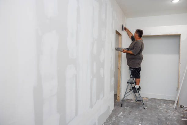 Best Mold Prevention Services  in North Valley Stream, NY