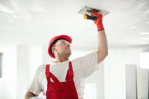 North Valley Stream, NY Mold Removal Company