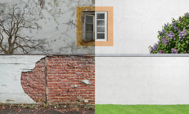Best Airborne Mold Testing  in North Valley Stream, NY