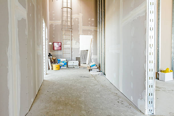 Best Forensic Mold Investigation  in North Valley Stream, NY