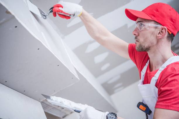 Best Industrial Mold Remediation  in North Valley Stream, NY